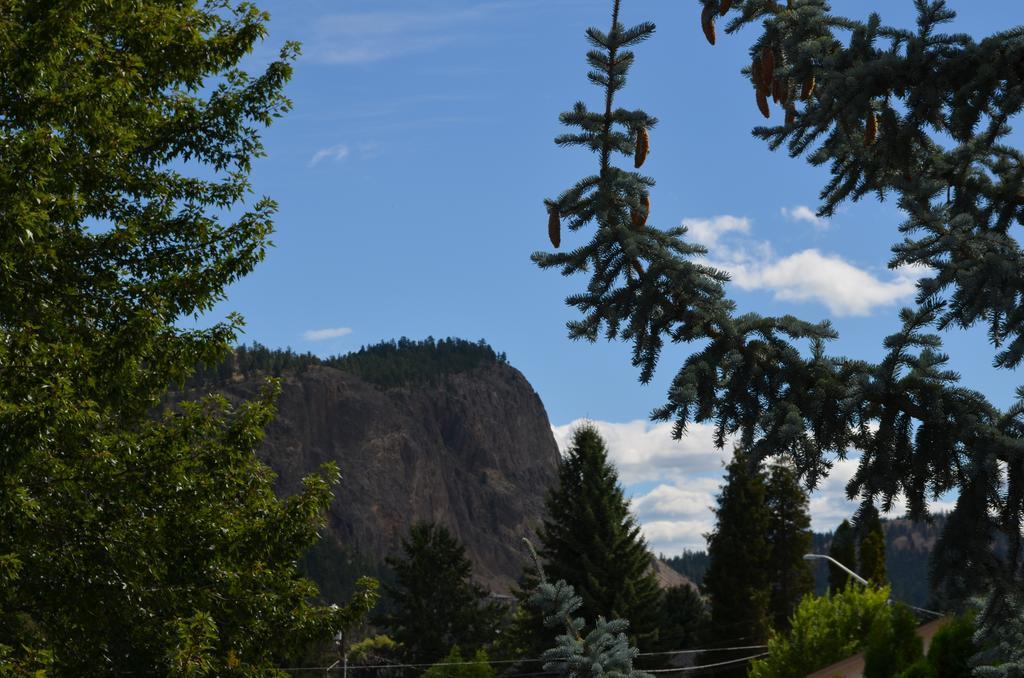 Dogwood Bed & Breakfast Summerland Exteriér fotografie
